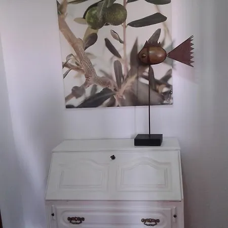 Apartamento Centro As Belas Artes